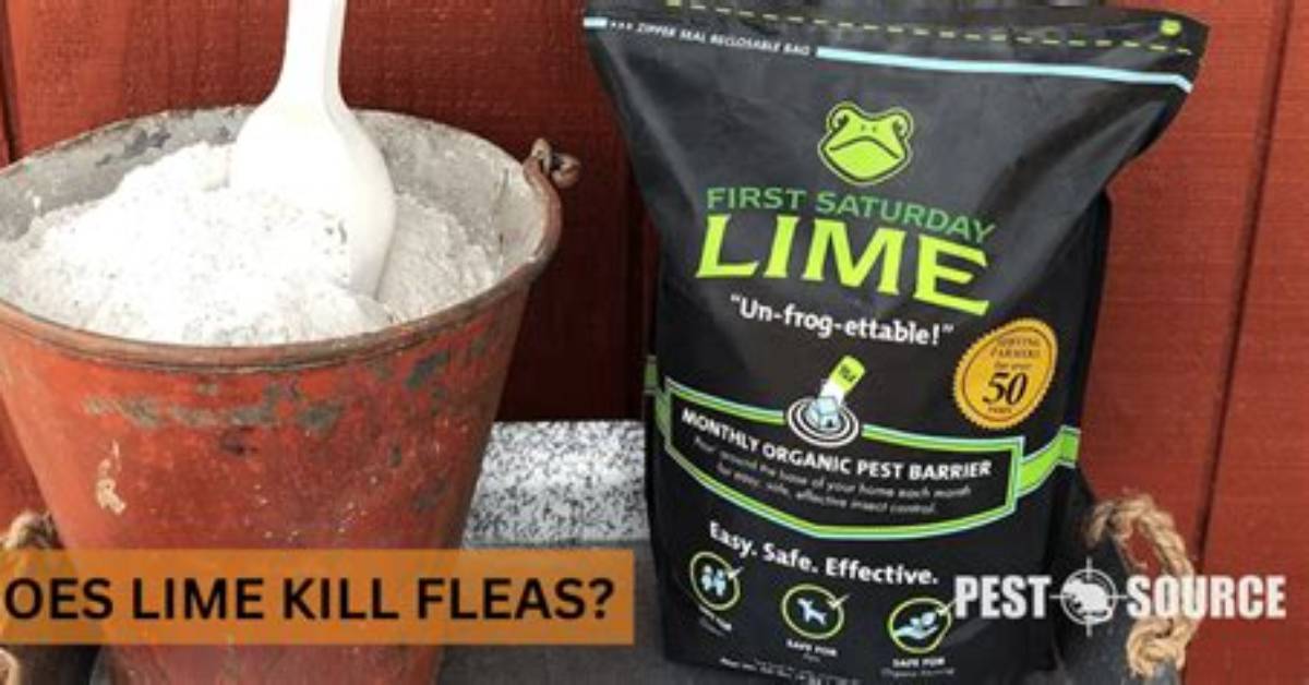Does Lime Kill Worms?