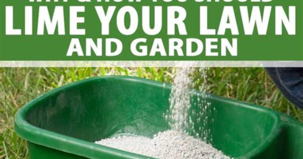 Does Lime Make Your Yard Green?