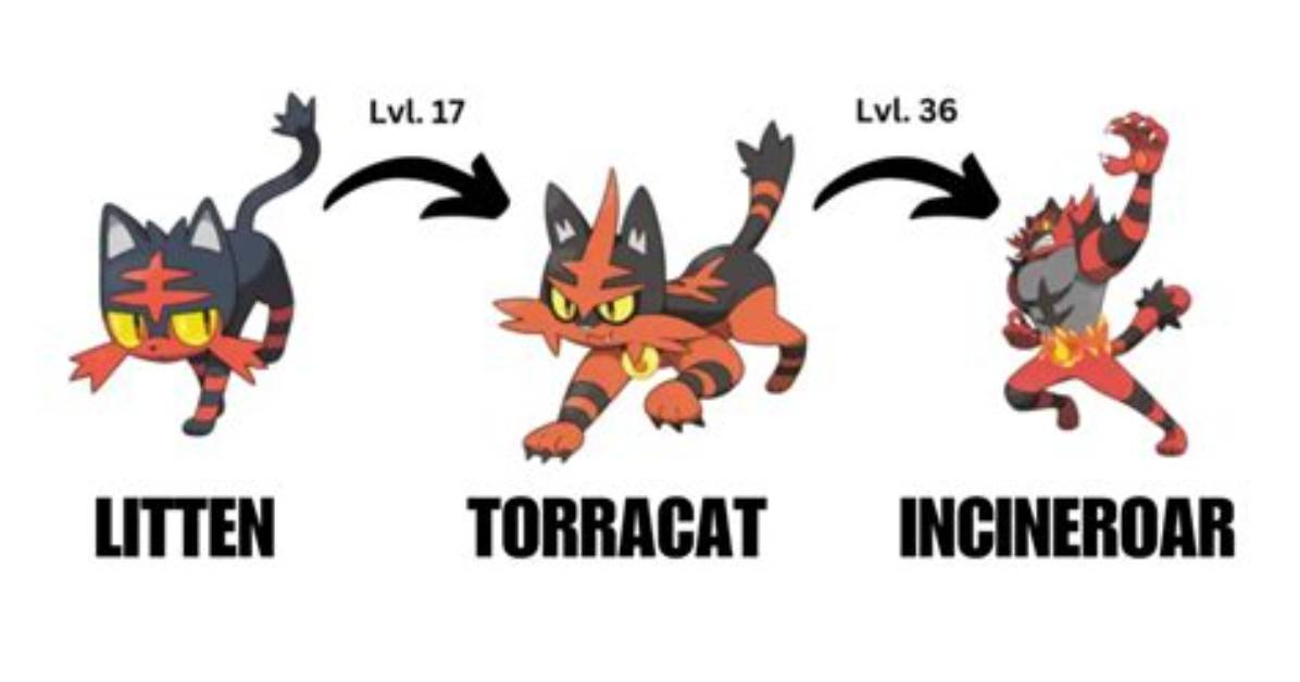 Does Litten Have an Evolution?