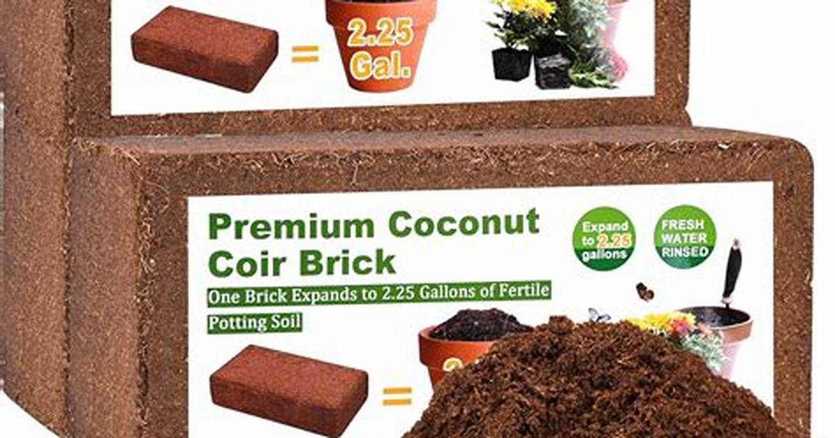 Does Lowes Sell Coco Coir