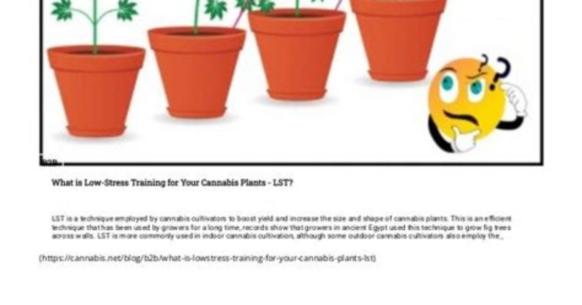 Does Lst Increase Yield?