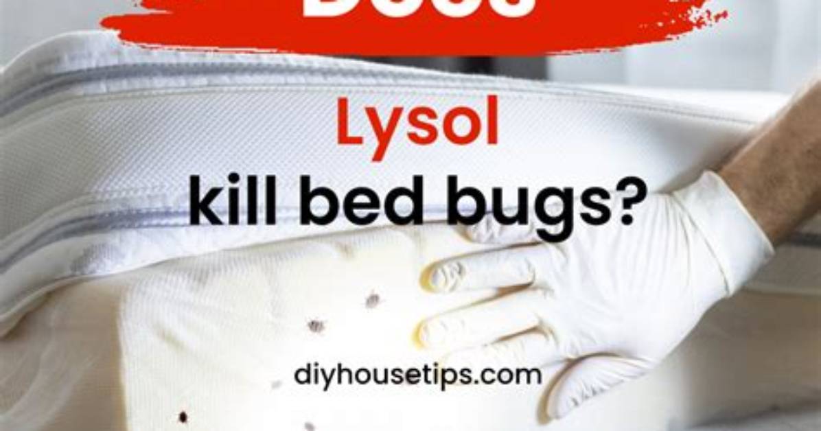 Does Lysol Keep Bugs Away?