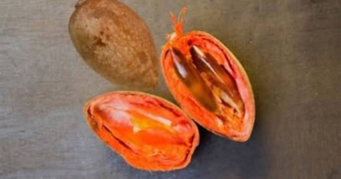 Does Mamey Have Potassium?