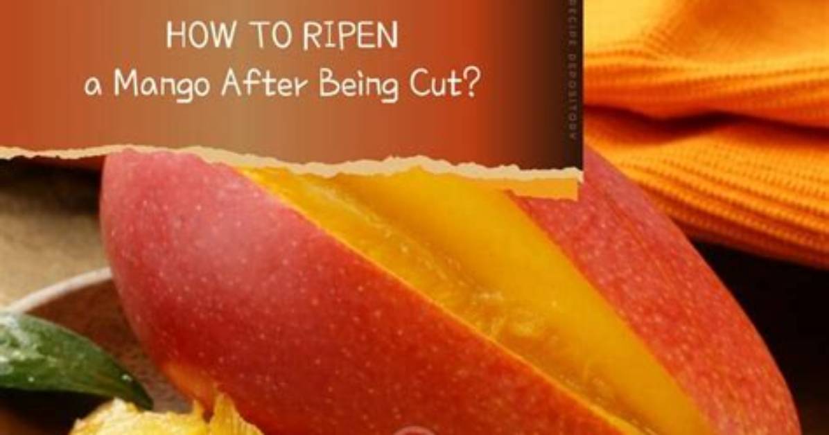 Does Mango Continue to Ripen After Cut?