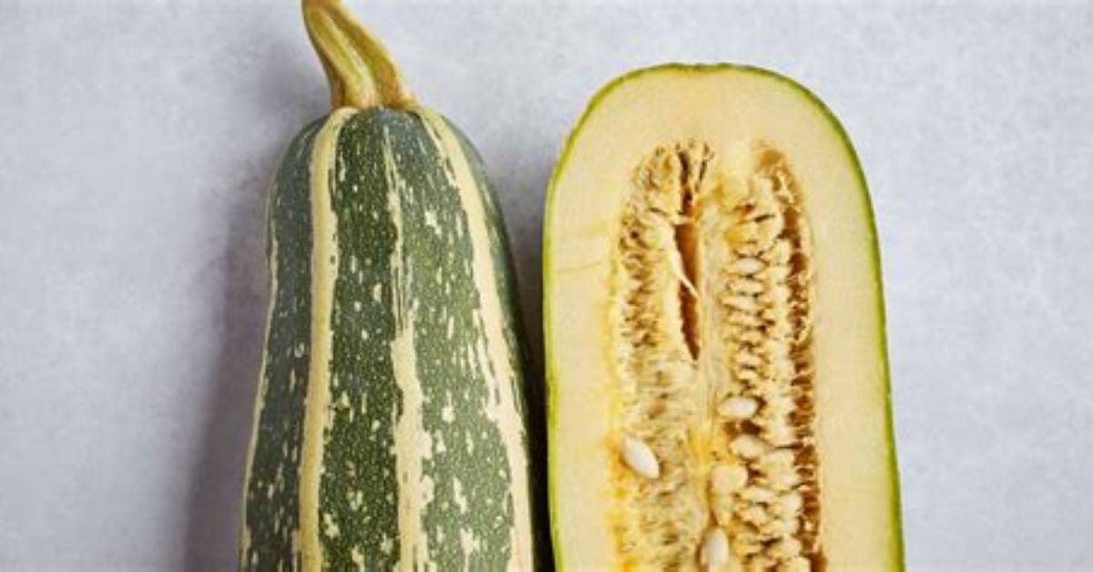 Does Marrow Taste Like Courgette?