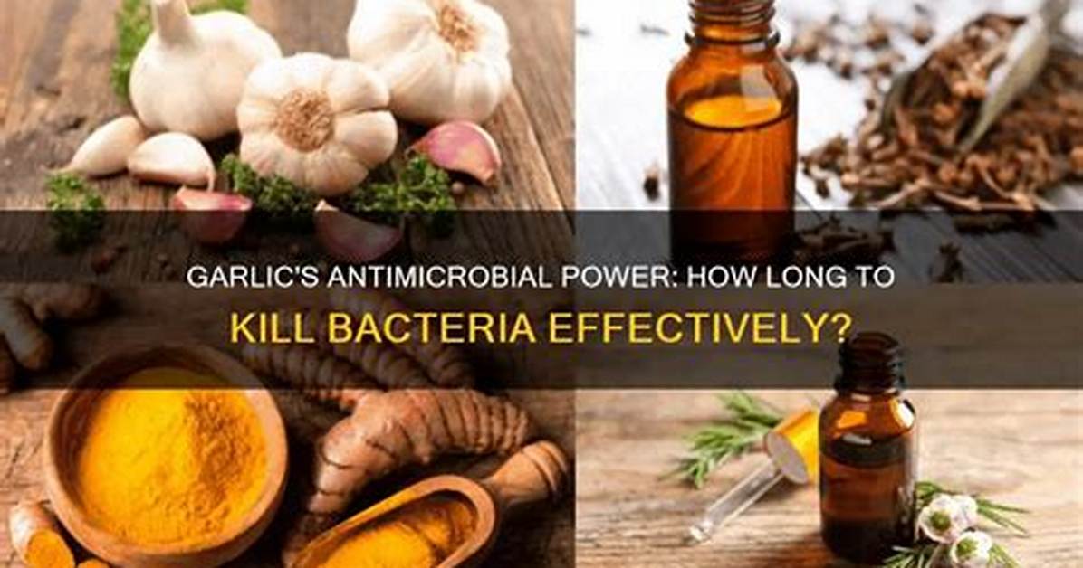 Does Melaleuca Kill Bacteria?