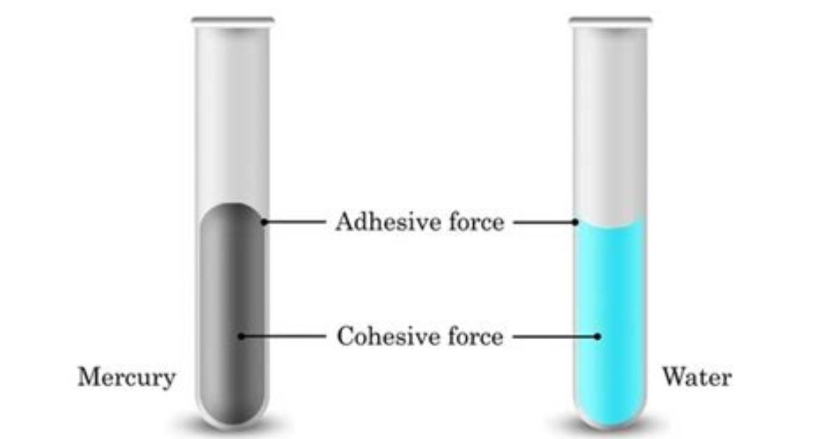 Does Mercury Have a Cohesive Force?