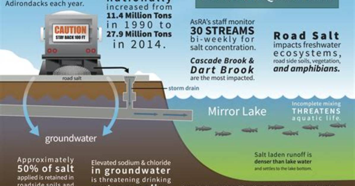 Does Minnesota Salt Their Roads?