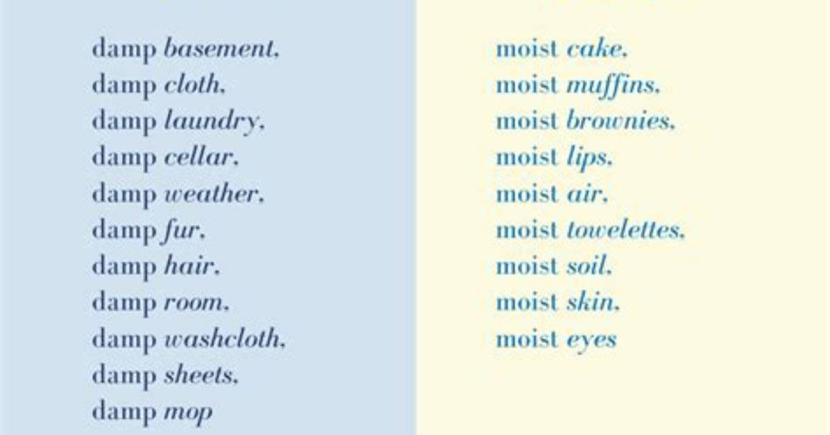 Does Moist Mean Damp