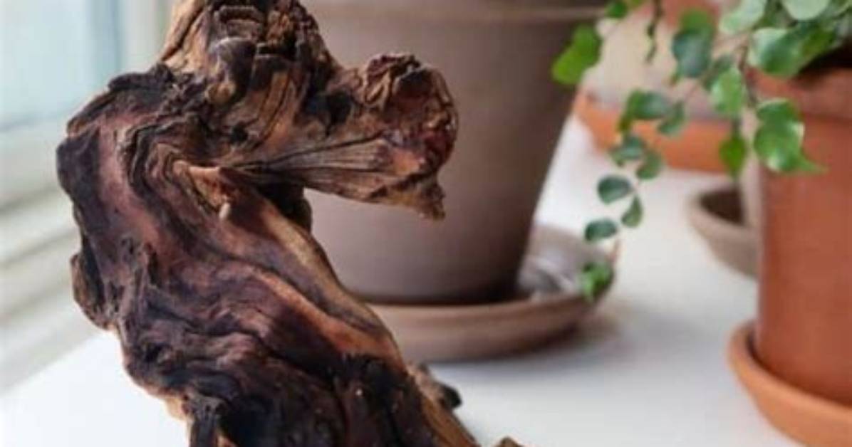 Does Mopani Wood Change Ph?
