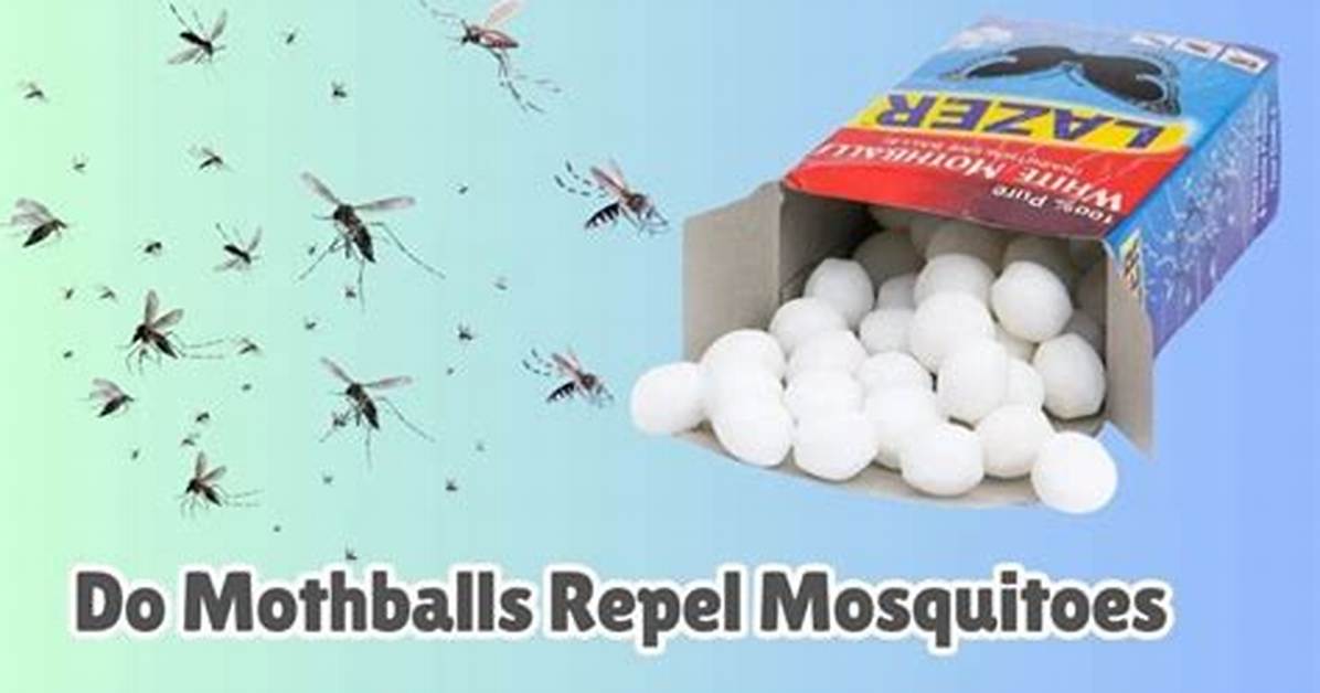 Does Mothballs Help Keep Skunks Away