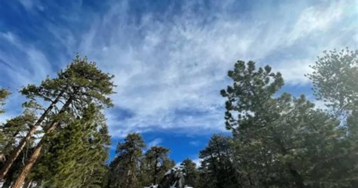 Does Mount Pinos Have Snow