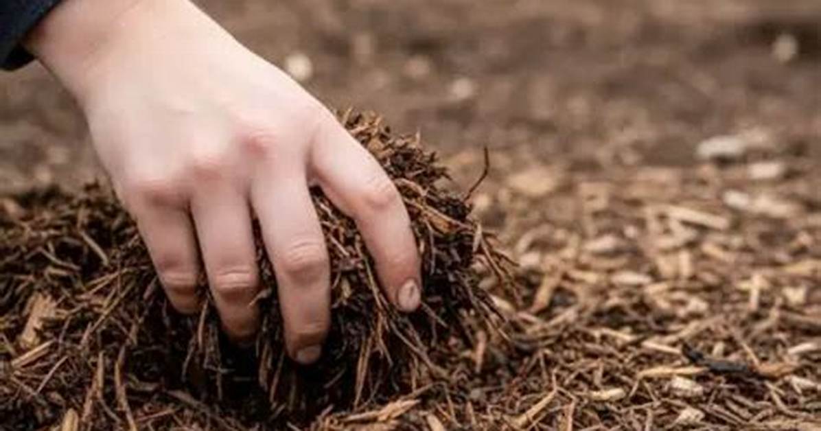 Does Mulch Turn into Soil?