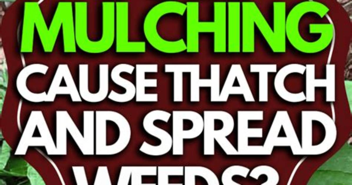 Does Mulching Grass Spread Weeds
