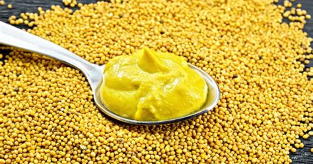Does Mustard Have Synergids?