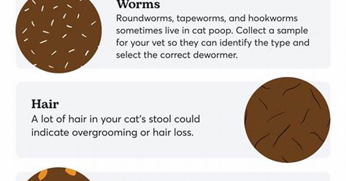 Does My Cat Need to Be Wormed?