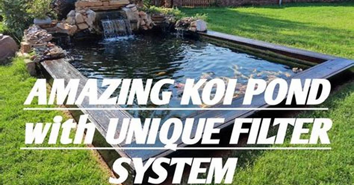 Does My Koi Pond Need a Filter
