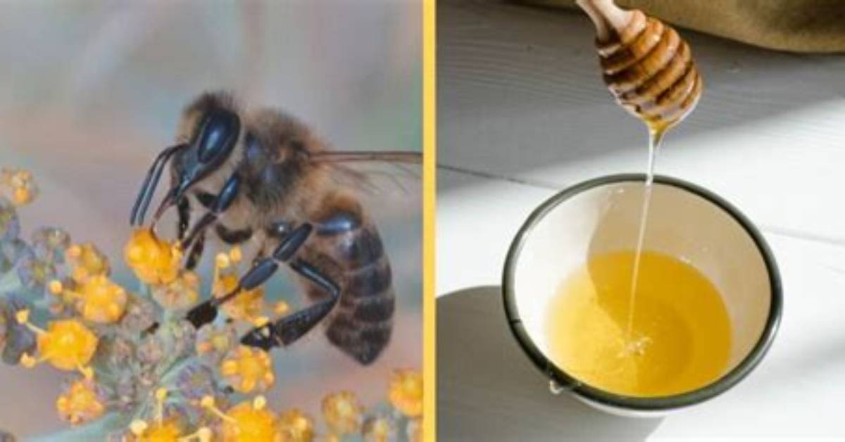 Does Nectar Taste Sweet