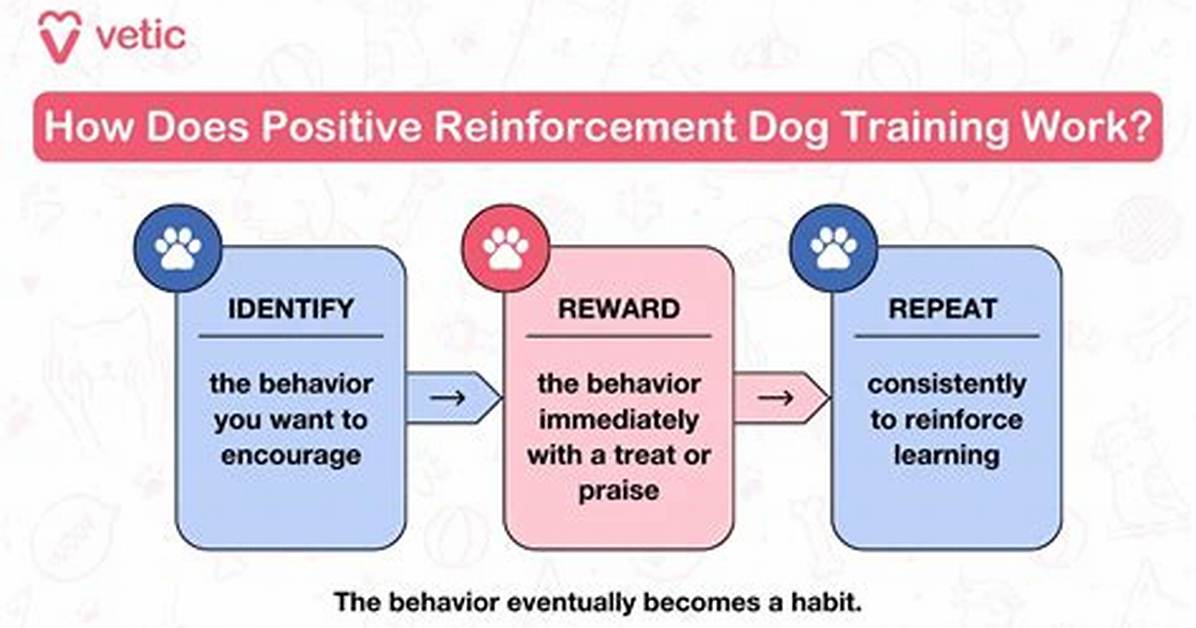 Does Negative Reinforcement Work on Dogs?