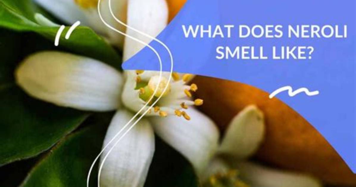 Does Neroli Smell Like Jasmine?