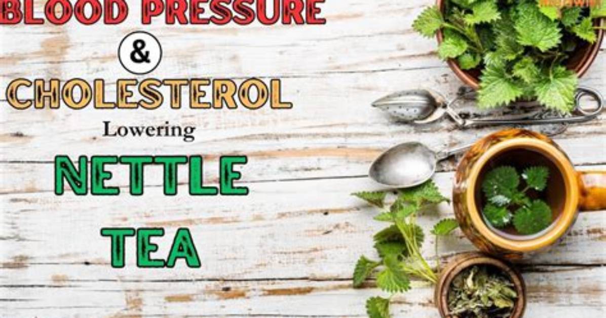 Does Nettle Leaf Lower Blood Pressure