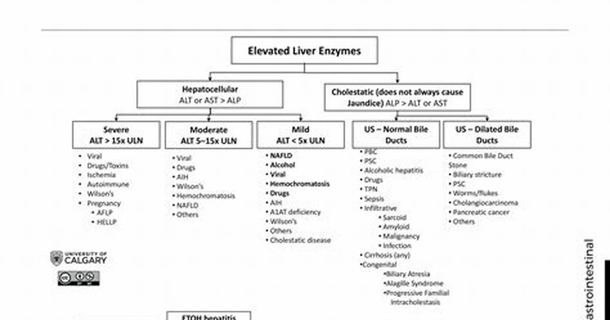 Does Niacin Cause Elevated Liver Enzymes
