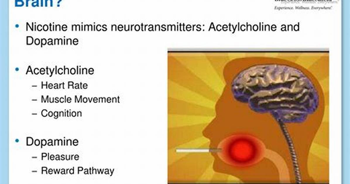 Does Nicotine Affect Nerves?