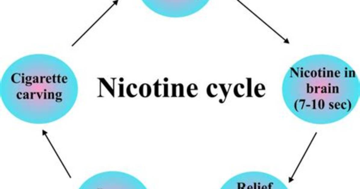 Does Nicotine Restrict Blood Flow?