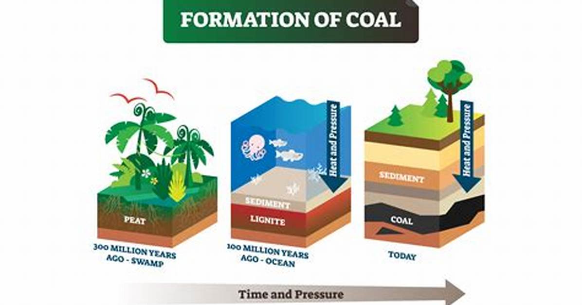 Does Oil Become Coal
