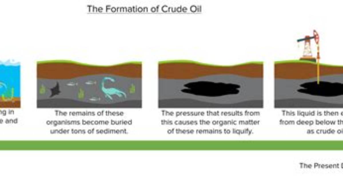 Does Oil Migrates up After Formed?