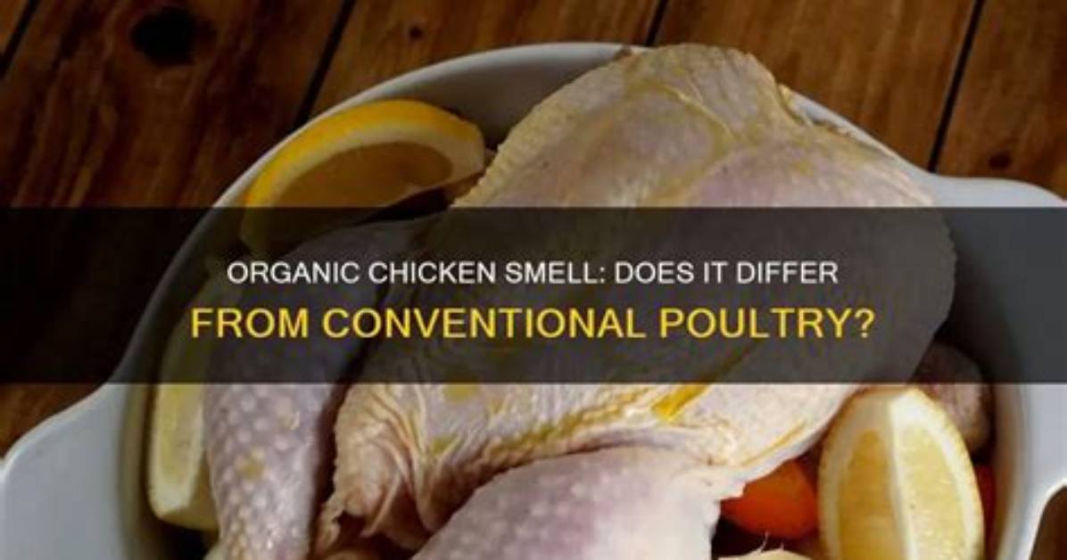 Does Organic Chicken Make a Difference