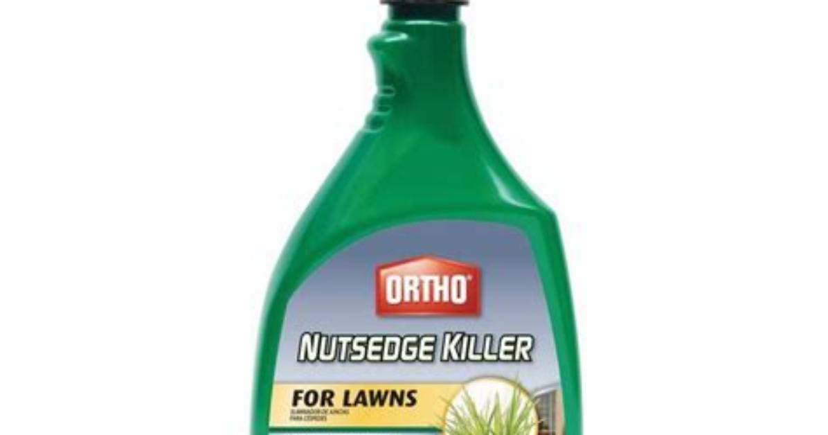 Does Ortho Nutsedge Killer Kill Grass