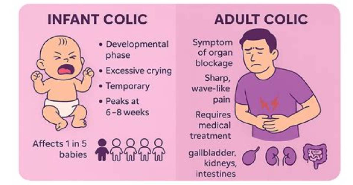 Does Overfeeding Cause Colic?