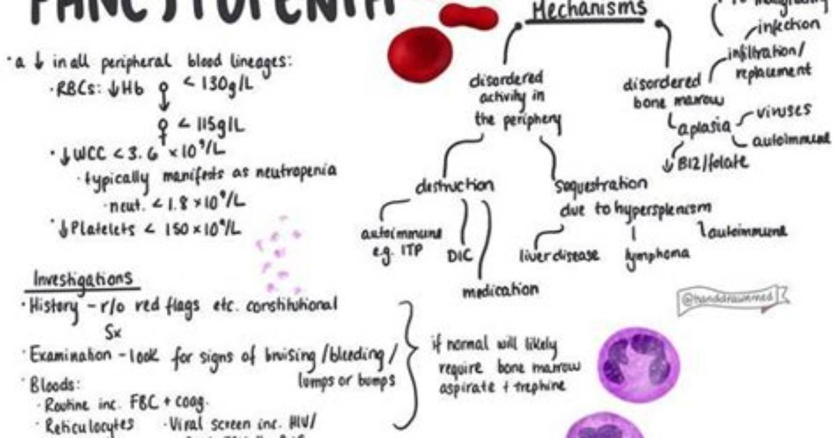 Does Pancytopenia Go Away