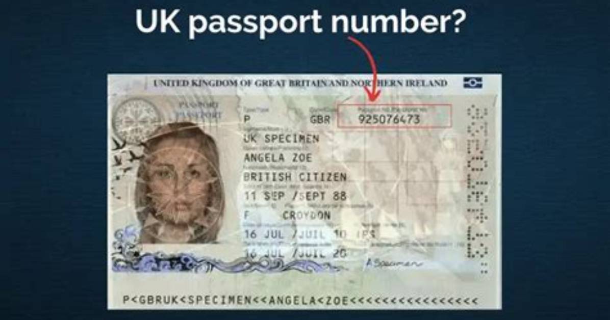 Does Passport Number Change When Reissued?