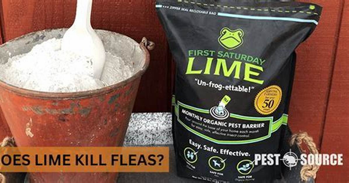 Does Pelletized Lime Kill Fleas?