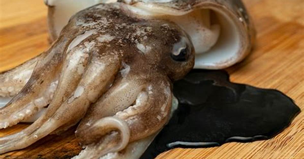 Does Pen Ink Come from Squids?
