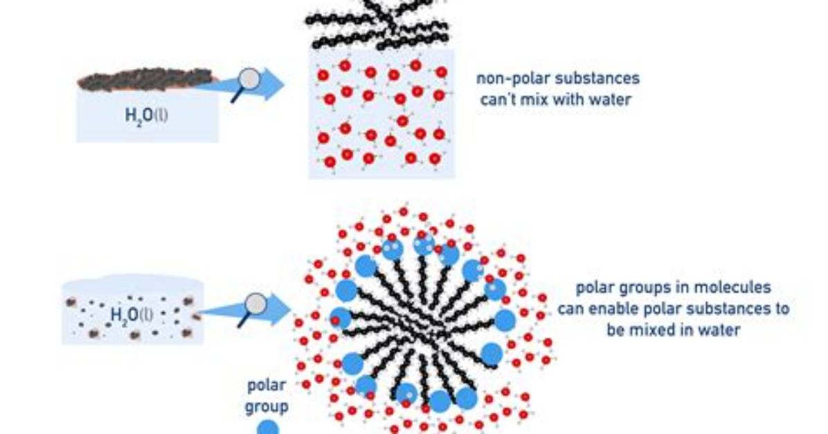 Does Pentahydrate Dissolve in Water?