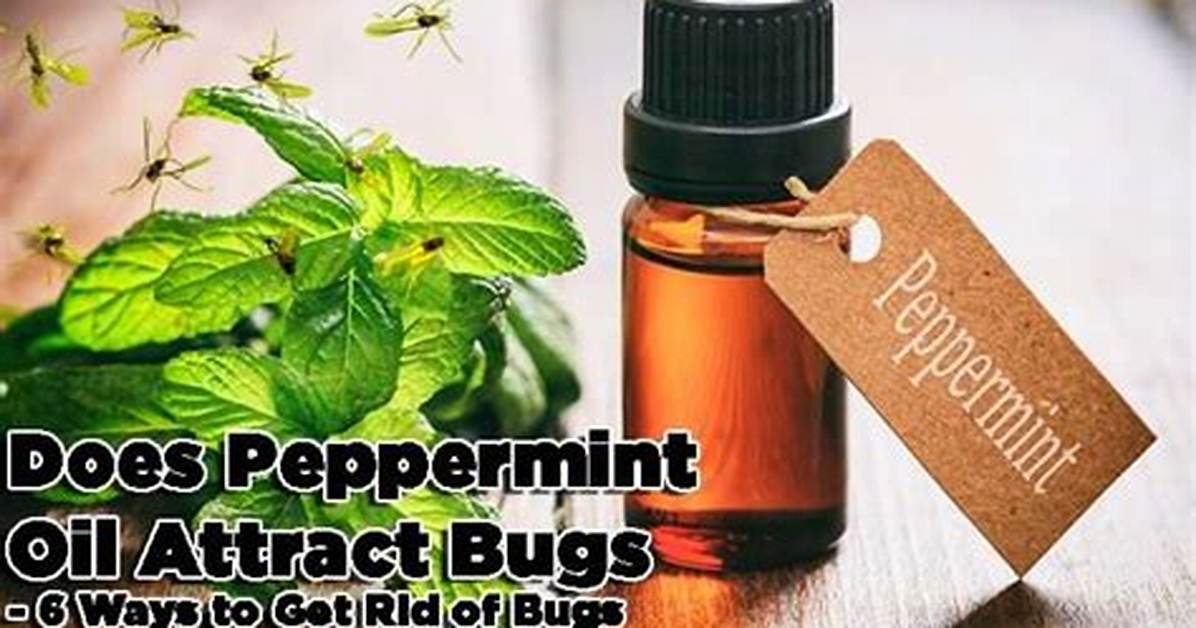 Does Peppermint Oil Attract Anything?