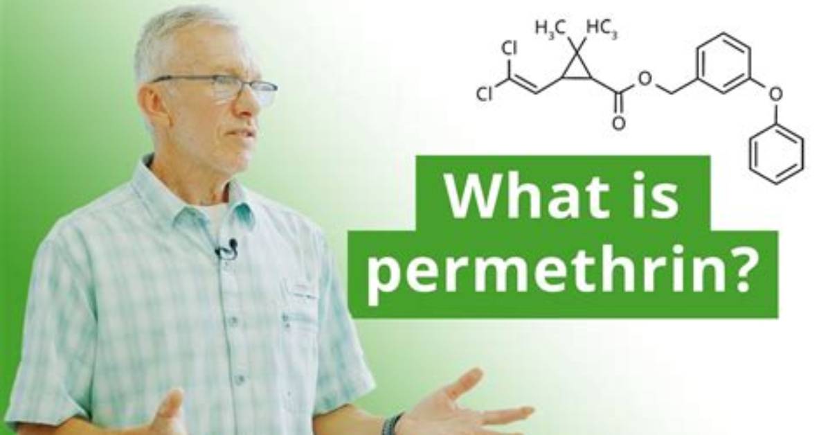 Does Permethrin Really Work? | Contextresponse. Com
