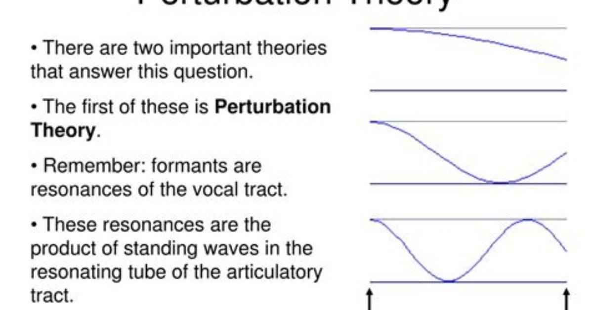 Does Perturbation Mean Disturbance?