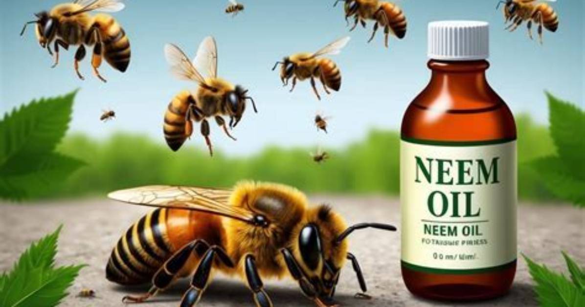 Does Pest Oil Kill Bees