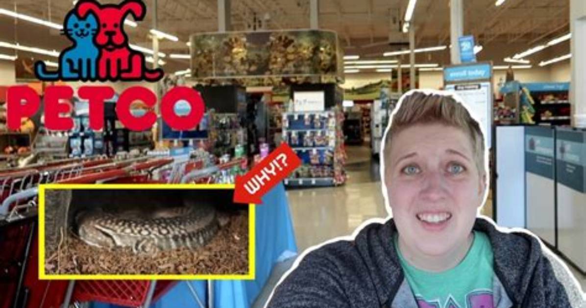 Does Petco Sell Hornworms