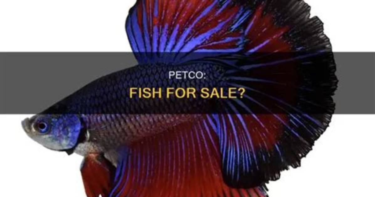 Does Petco Take Back Fish