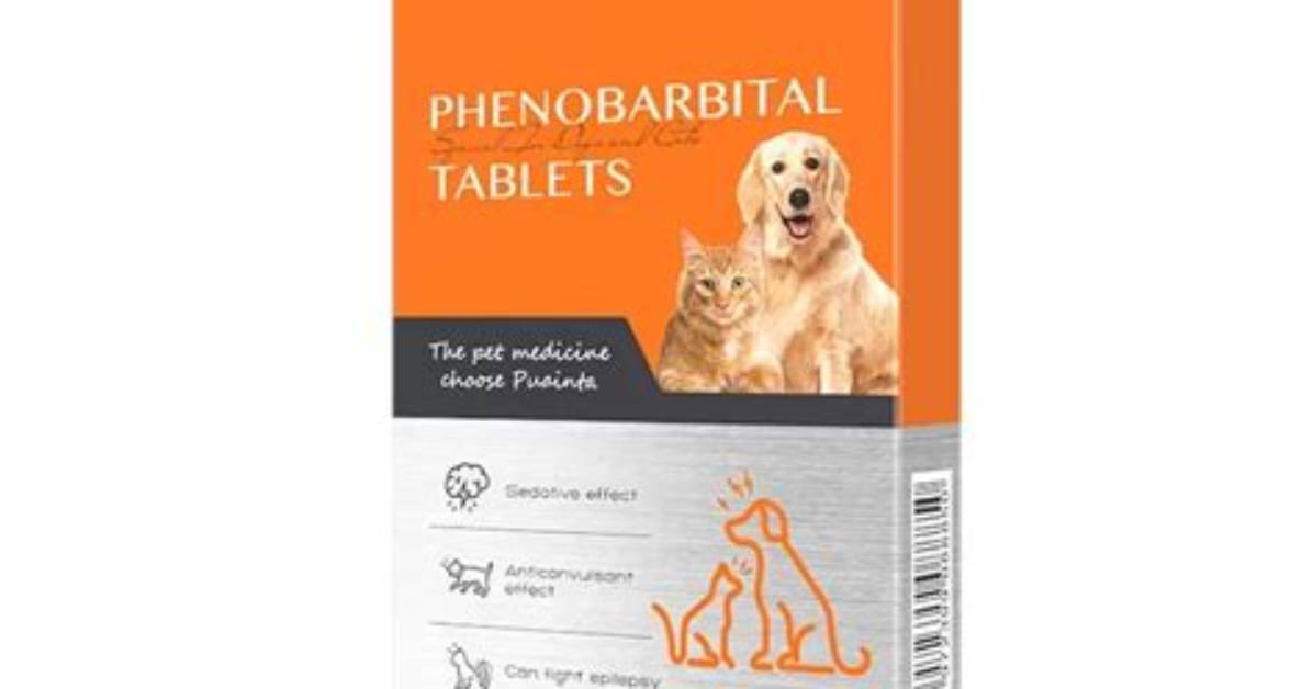 Does Phenobarbital Make Dogs Hungry?