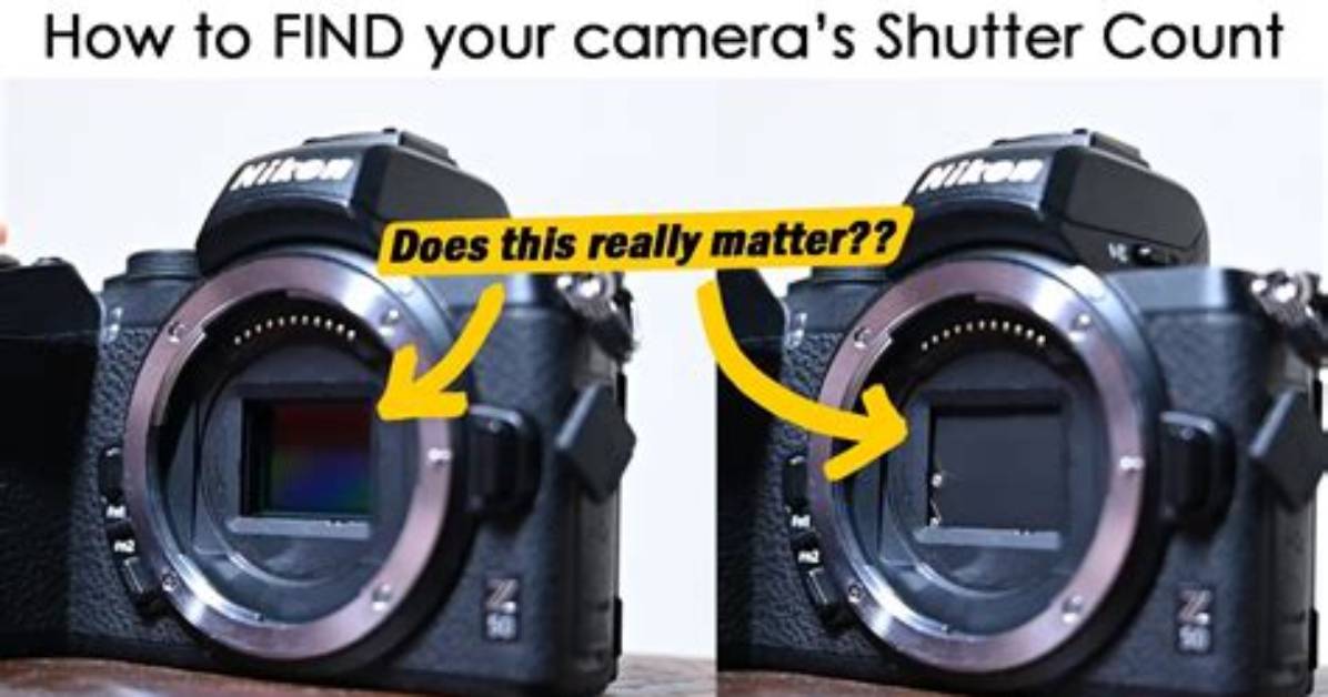 Does Phone Camera Have Shutter?