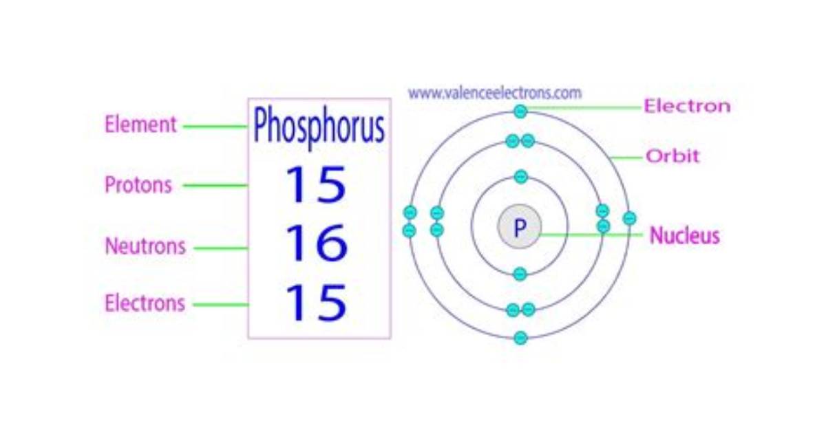 Does Phosphorus Gain or Lose Electrons?