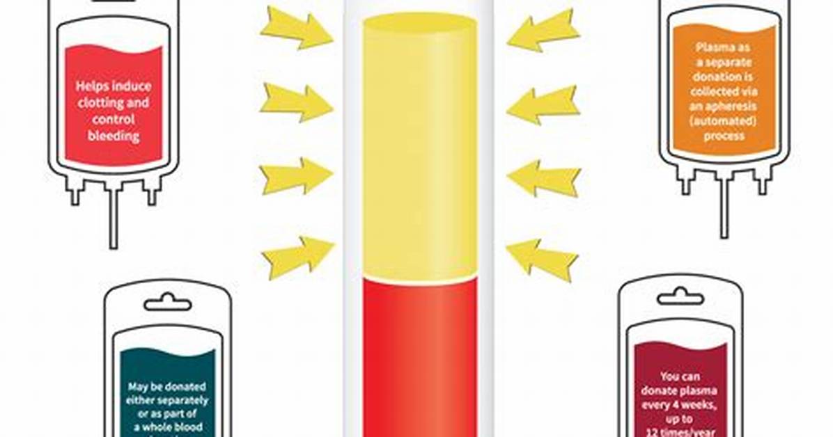 Does Plasma Take Shape