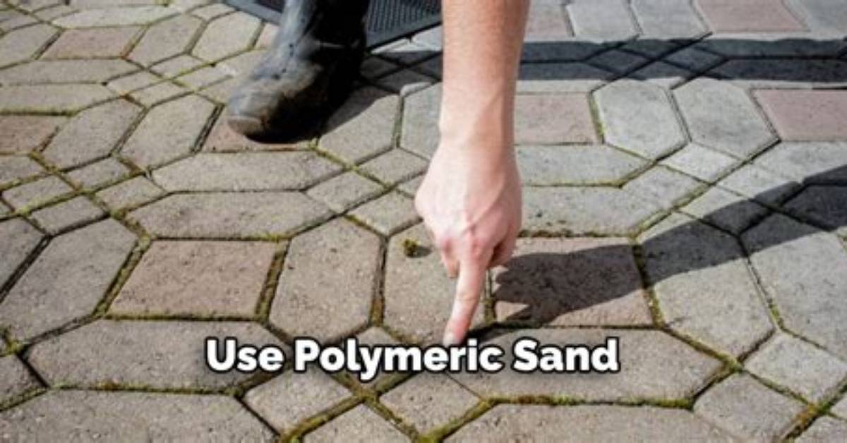 Does Polymeric Sand Work? | Contextresponse. Com