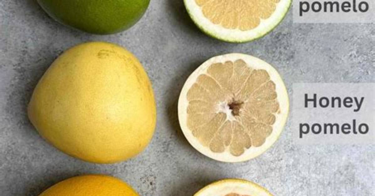 Does Pomelo Taste Good